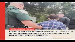 Florida Sheriff Warns Residents After 13-Year-Old With 11 Felonies Released Again