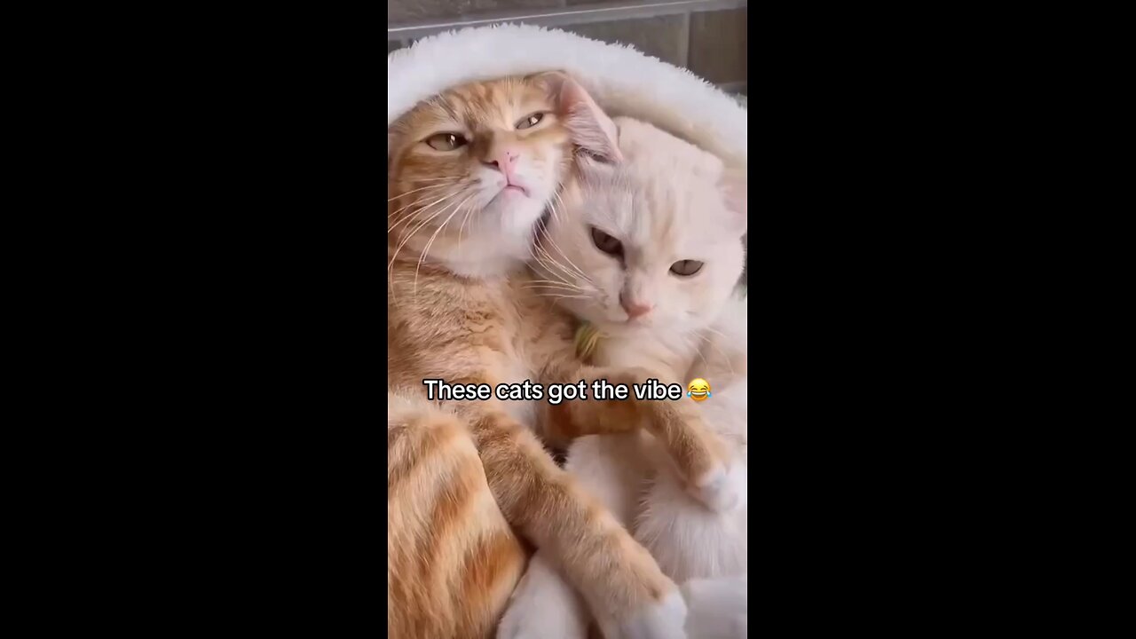 eep oop