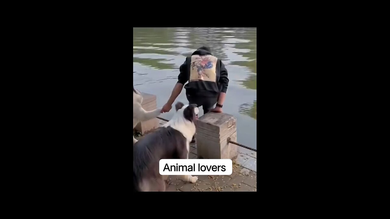 Dog has more common sense than human