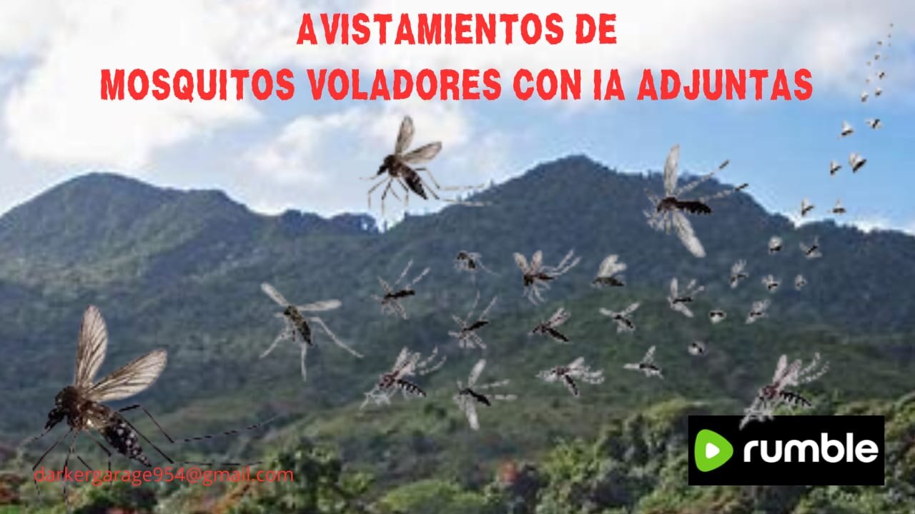 AVISTAMIENTO DE MOSQUITOS VOLADORES EN ADJUNTAS