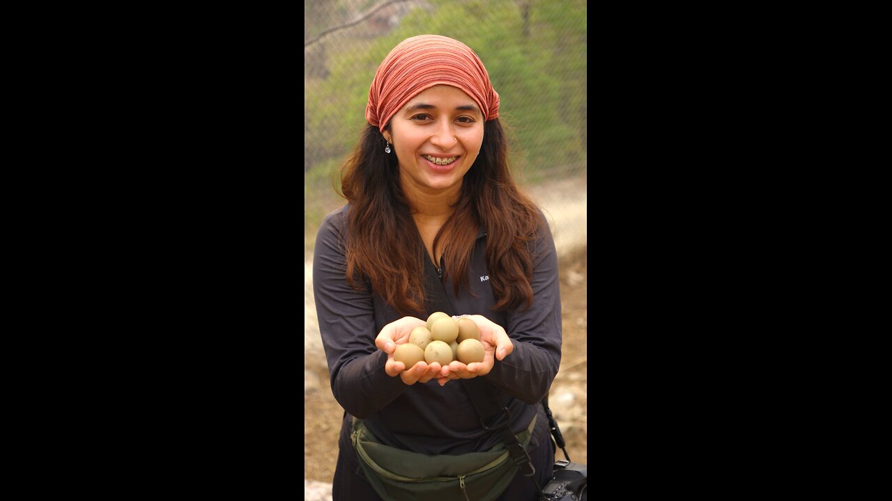 The Biggest Kaliz Farm In Nepal 🇳🇵