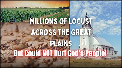 Dreamed A Dream: Saw Millions of Locust Across the Great Plains. But Could NOT Hurt God's People!
