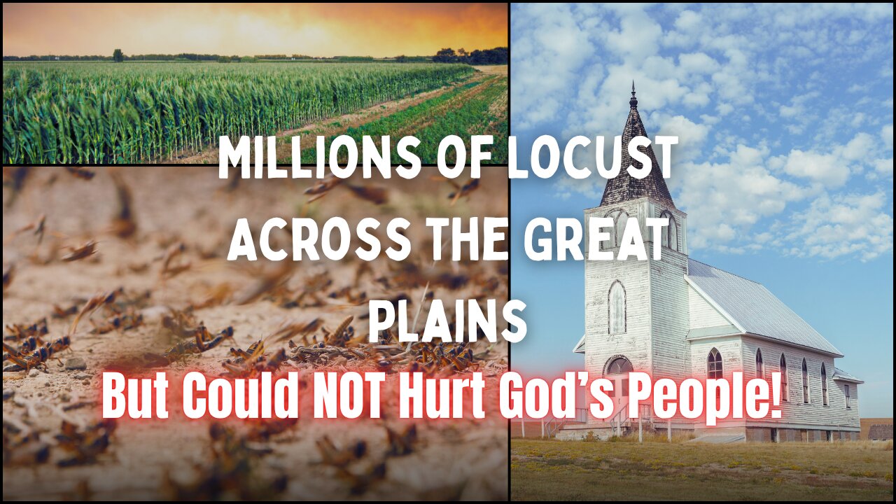 Dreamed A Dream: Saw Millions of Locust Across the Great Plains. But Could NOT Hurt God's People!