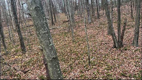 TILTED THURSDAYS!!!! Variety GAMES!!