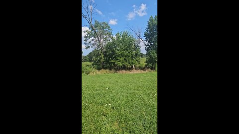 What Was out Here?