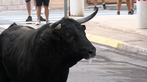 2025 08 17 PLAYA MONCÓFAR MARTÍN CAMPOS Nº39