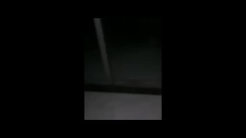 funny video for cats in the world