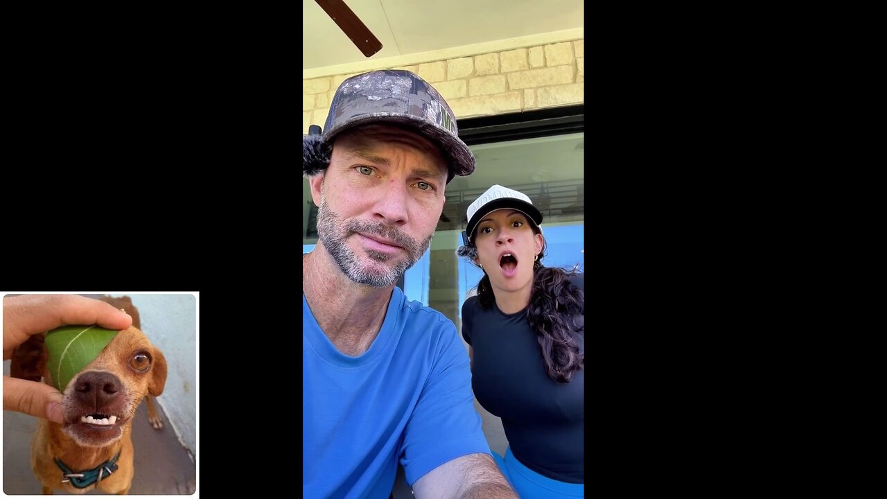 Funny videos compilation 36