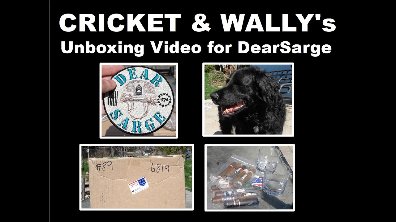 Cricket & Wally's Unboxing Video for DearSarge: Opening a Raffle Prize from DearSarge & CigarsDaily