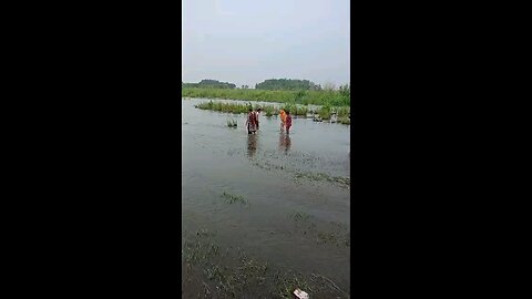 satisfying Video