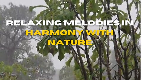 Relaxing melodies in harmony with nature
