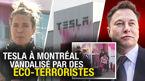 Attaques contre un concessionnaire Tesla à Montréal menées par des activistes d'extrême-gauche