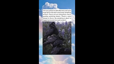Crows Gather In Silence