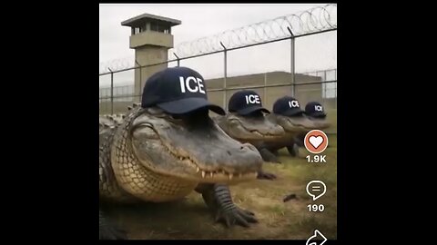 Funny responses to Alligator Alcatraz