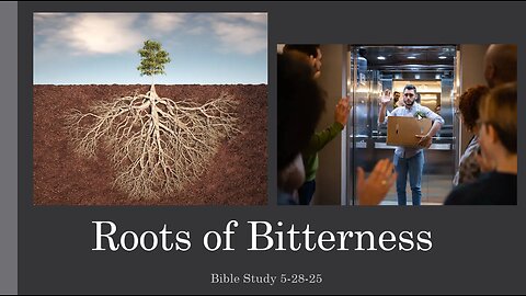 THE ROOT OF BITTERNESS: WHAT FRUIT IS BEING REVEALED THAT IS A RESULT OF THE ROOTS OT BITTERNESS.