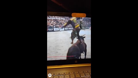 Bull Riding Cowboy standing on the bull WTH