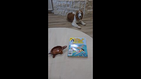 Betty and Veronica Best Friends Jumbo Comics Digest No. 283 Archie Comic Publications, Inc.