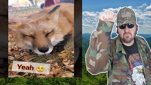 Finnegan Is A Bit Bummed (SaveAFox) - Reaction! (BBT)