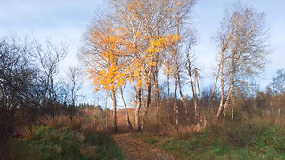 Autumn Nature Walk - ASMR