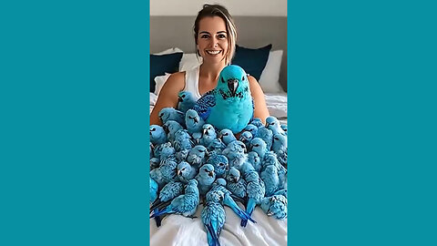World Wide Birds Presents: Funny Parrots!