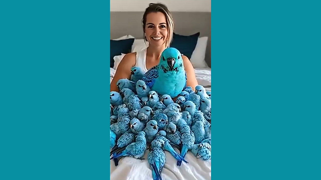 World Wide Birds Presents: Funny Parrots!