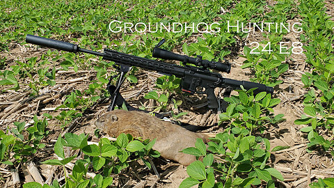 Groundhog Hunting '24 Episode 8