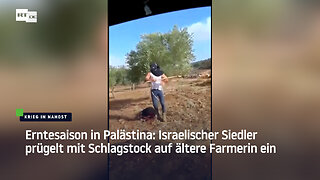 Erntesaison in Palästina: Israelischer Siedler prügelt mit Schlagstock auf ältere Farmerin ein
