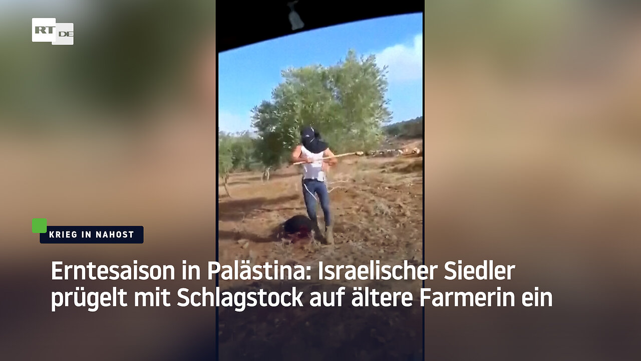 Erntesaison in Palästina: Israelischer Siedler prügelt mit Schlagstock auf ältere Farmerin ein