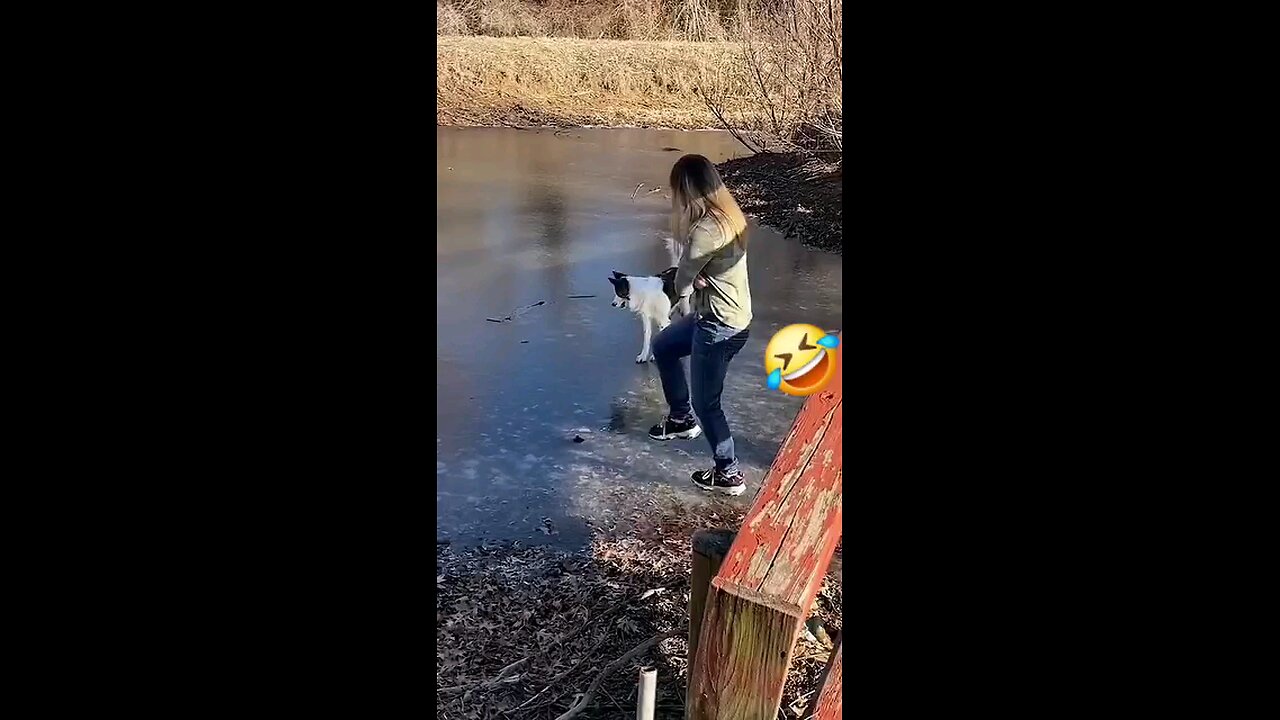 Funny animals 🐶🐱🦊🦁 #Dogs #Cats #kids #viral #funny animals #Entertainment