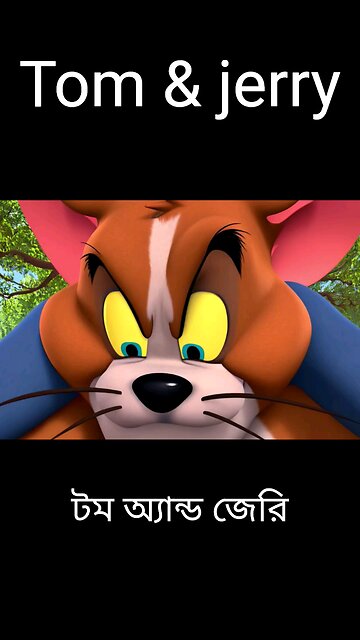 Tom and Jerry Bangla Comedy | Funny Cartoon Episode | টম অ্যান্ড জেরি বাংলা কার্টুন 2025 part 2