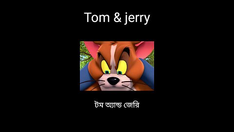 Tom and Jerry Bangla Comedy | Funny Cartoon Episode | টম অ্যান্ড জেরি বাংলা কার্টুন 2025 part 2