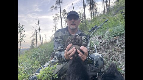Spring Bear 2025 - Big Old Sow - Marksman’s Creed #bearhunting #blackbear #bears