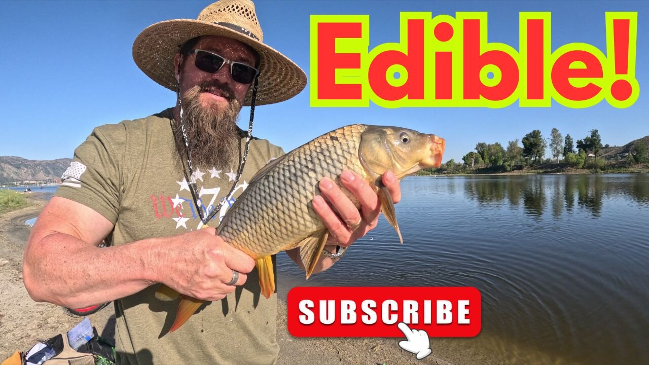 Springtime Carp Fishing Lake Elsinore