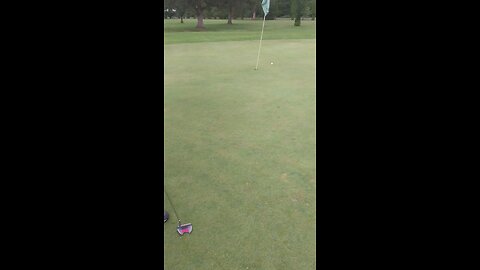 Special Olympics golfing