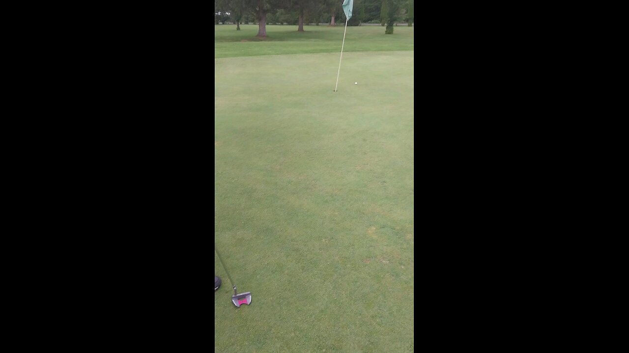 Special Olympics golfing
