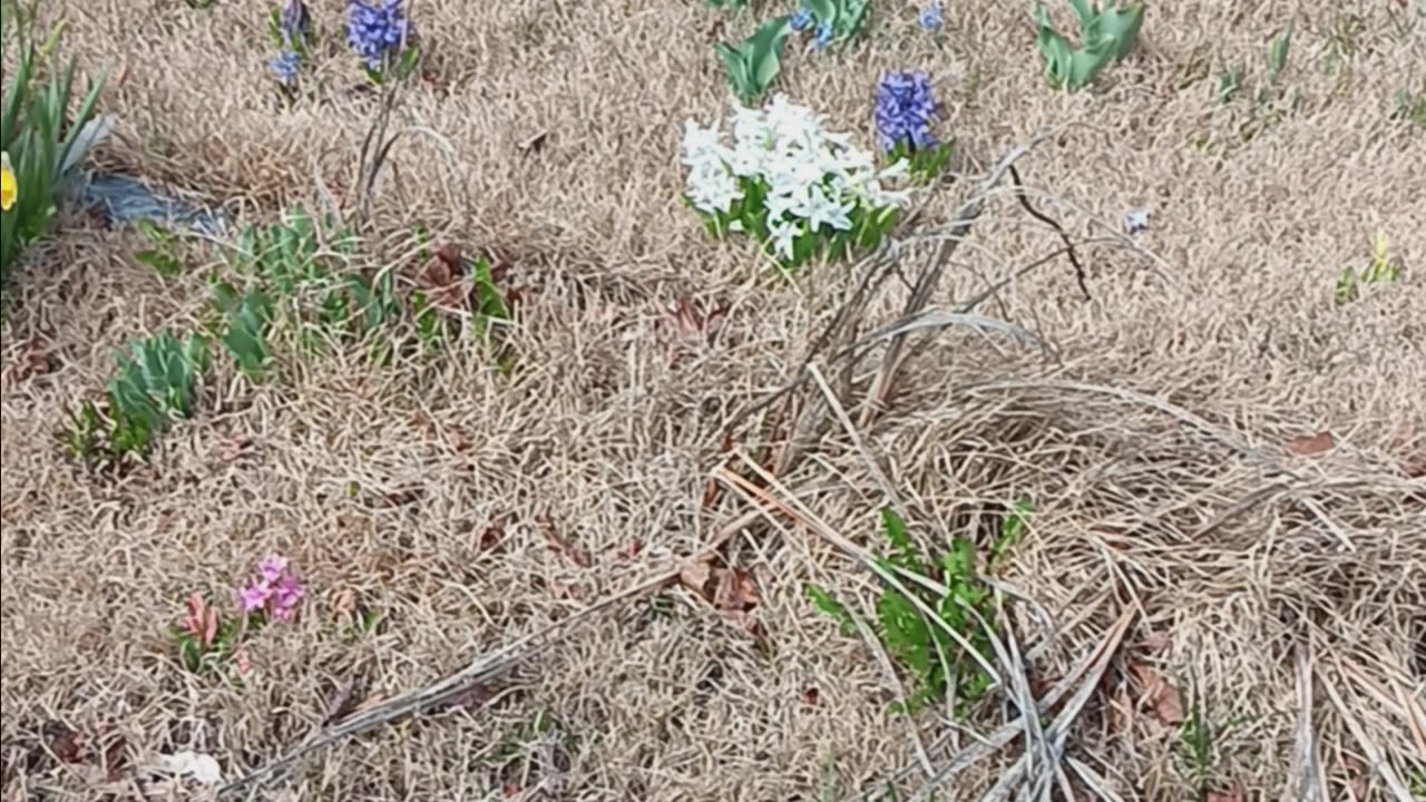 Spring colors.