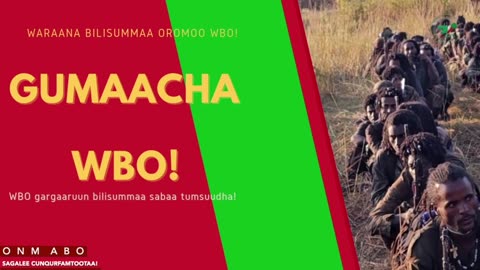 Gabaasa Gumaacha ONM-ABO Fulbaana 19-2025 itti dhiyaadhaa!