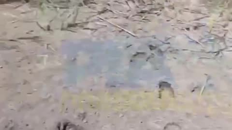 🌊🚨 Ukraine Russia War | Critical Water Crisis in Occupied Zaporizhzhia | RCF