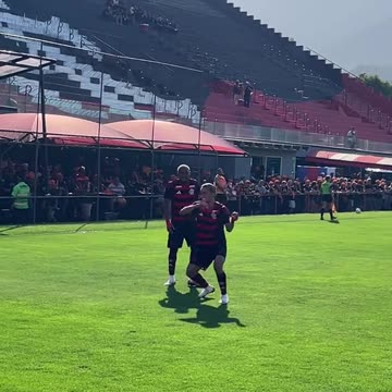 Ele jogou uma pedra na janela deles😂 #SouFlamengo