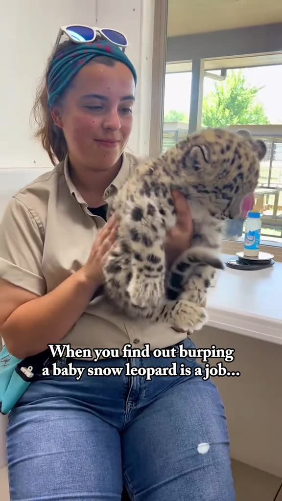 FELON CUBS TOO STINKING CUTE!