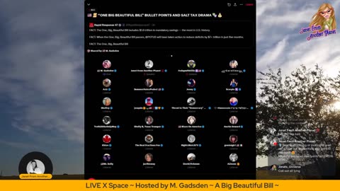 ONE BIG BEAUTIFUL BILL” BULLET POINTS AND SALT TAX DRAMA