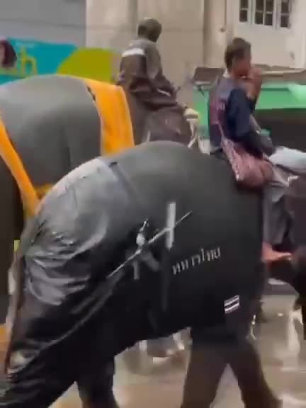 Thailand heavy armoured division 😊