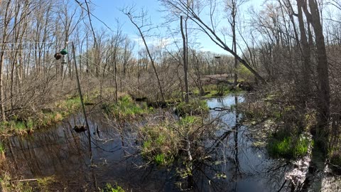 small pond