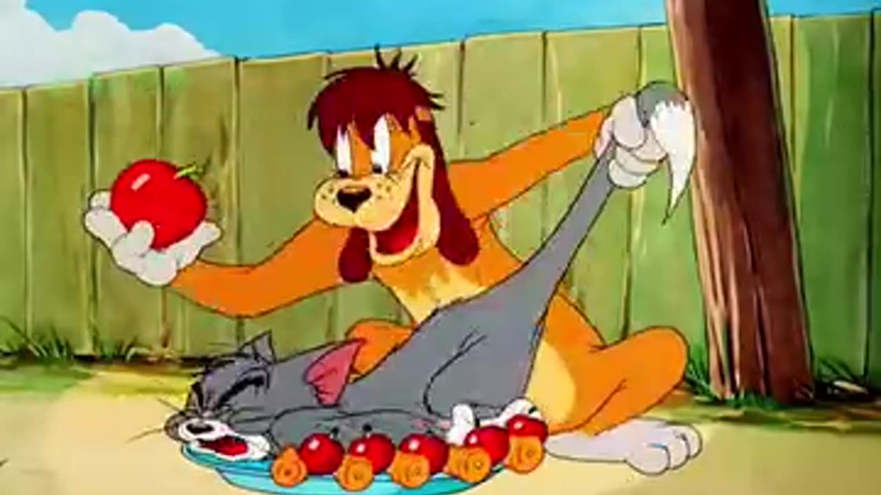 Funny videos 😂😂