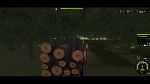 Cutting Wood