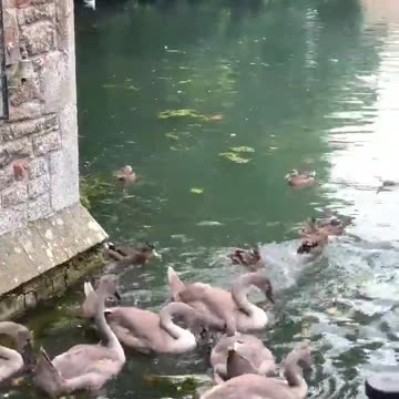 Please wring for service