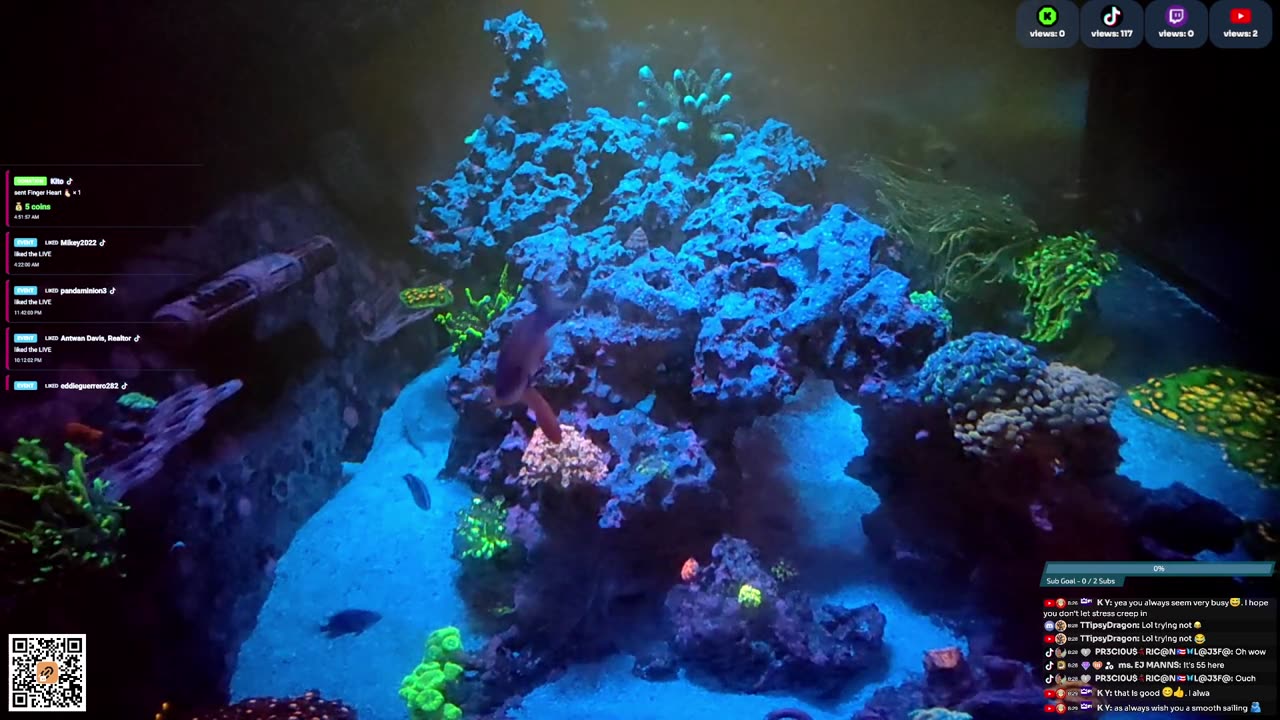 24/7 Real Live Reef Stream