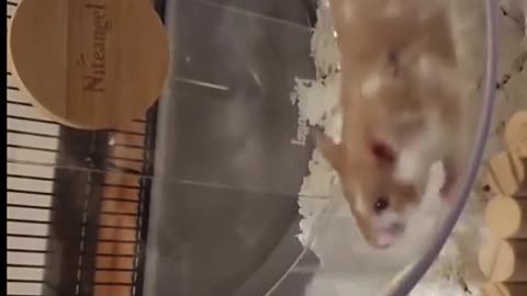 😂🏃‍♂️ You Won't Believe This Epic Running Fail! Marathon Training Gone Wrong | FunFM