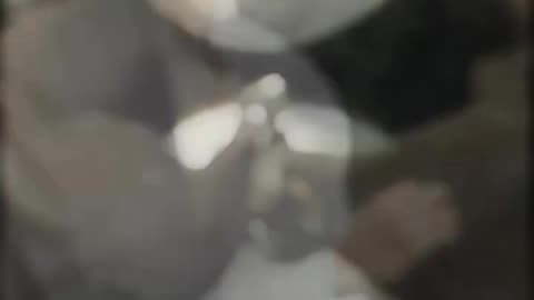 Kung fu panda🐼🍜🍙🍣