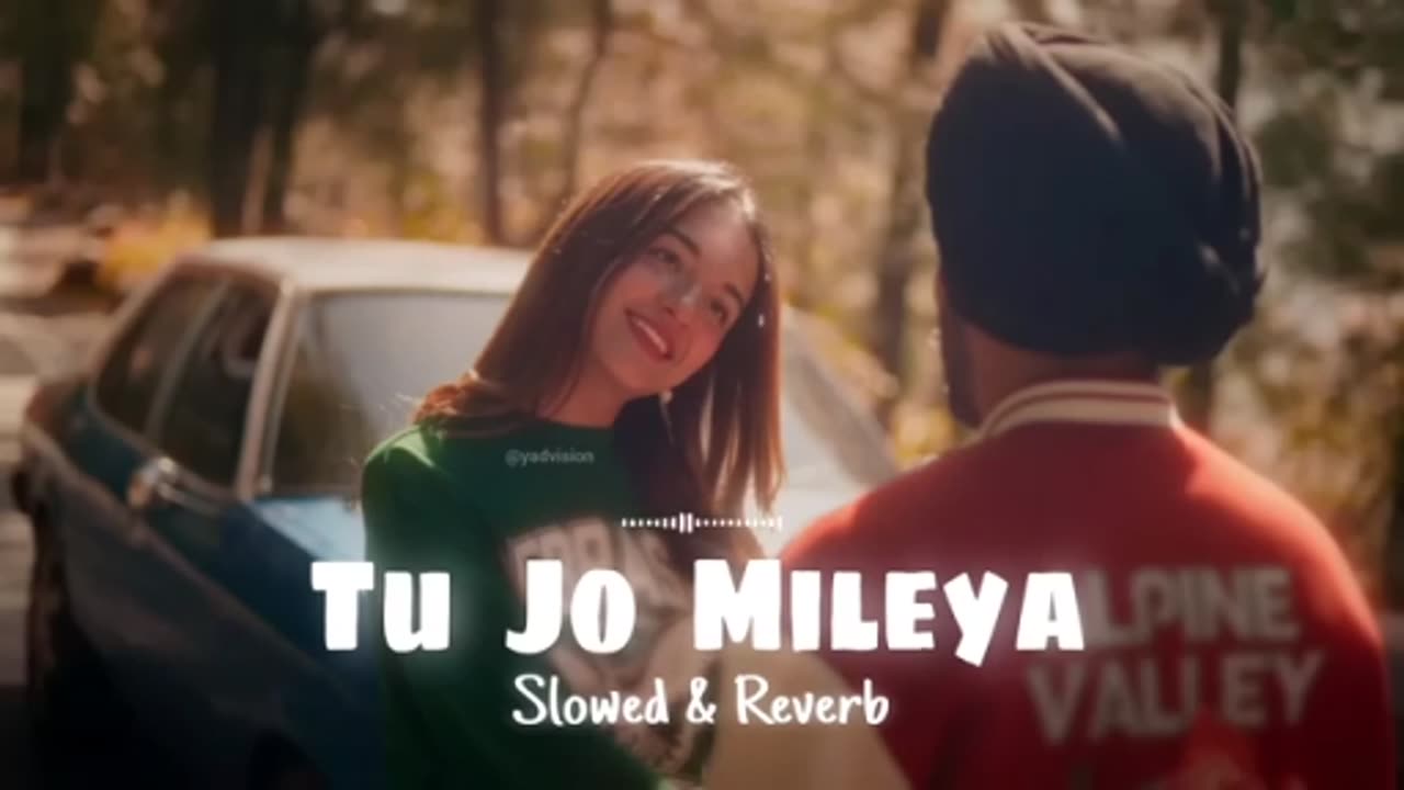 Tu jo mileya 💞